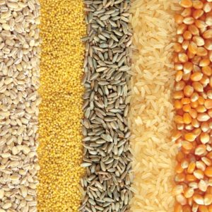 BunnyNest Cozy Hideaway